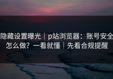 隐藏设置曝光｜p站浏览器：账号安全怎么做？一看就懂｜先看合规提醒