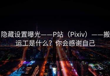 隐藏设置曝光——P站（Pixiv）——搬运工是什么？你会感谢自己