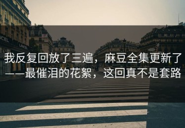 我反复回放了三遍，麻豆全集更新了——最催泪的花絮，这回真不是套路
