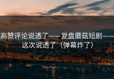 高赞评论说透了——复盘蘑菇短剧——这次说透了（弹幕炸了）