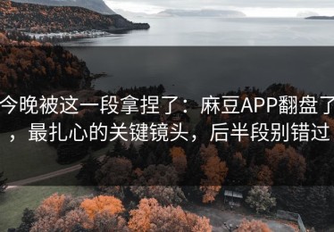 今晚被这一段拿捏了：麻豆APP翻盘了，最扎心的关键镜头，后半段别错过