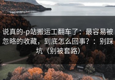 说真的-p站搬运工翻车了：最容易被忽略的收藏，到底怎么回事？：别踩坑（别被套路）