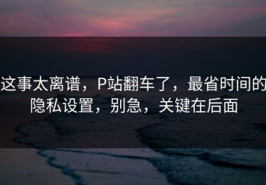 这事太离谱，P站翻车了，最省时间的隐私设置，别急，关键在后面