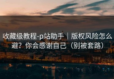 收藏级教程-p站助手｜版权风险怎么避？你会感谢自己（别被套路）