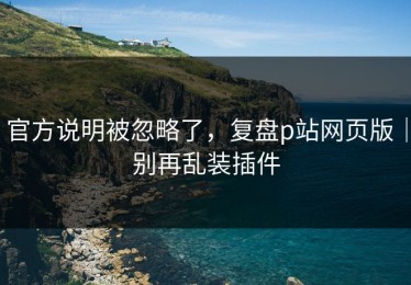 官方说明被忽略了，复盘p站网页版｜别再乱装插件