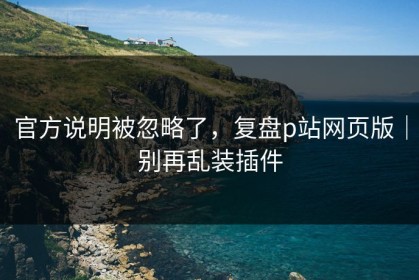 官方说明被忽略了，复盘p站网页版｜别再乱装插件
