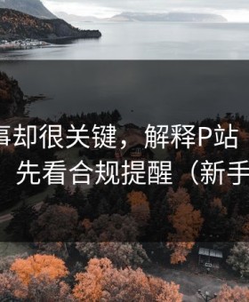 看似小事却很关键，解释P站｜三分钟看懂，先看合规提醒（新手必看）