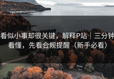 看似小事却很关键，解释P站｜三分钟看懂，先看合规提醒（新手必看）