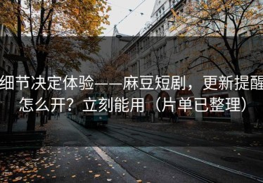 细节决定体验——麻豆短剧，更新提醒怎么开？立刻能用（片单已整理）