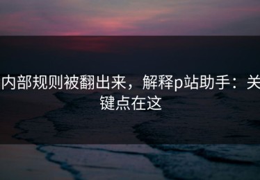 内部规则被翻出来，解释p站助手：关键点在这