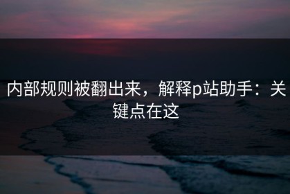 内部规则被翻出来，解释p站助手：关键点在这