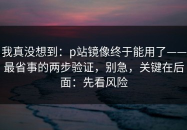 我真没想到：p站镜像终于能用了——最省事的两步验证，别急，关键在后面：先看风险