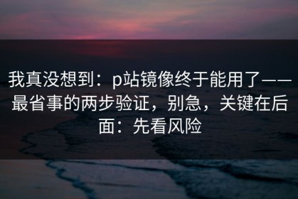 我真没想到：p站镜像终于能用了——最省事的两步验证，别急，关键在后面：先看风险