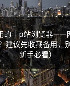真正好用的｜p站浏览器——网页版怎么登录？建议先收藏备用，别踩坑（新手必看）