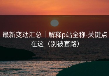 最新变动汇总｜解释p站全称-关键点在这（别被套路）