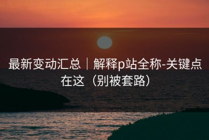 最新变动汇总｜解释p站全称-关键点在这（别被套路）
