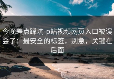 今晚差点踩坑-p站视频网页入口被误会了：最安全的标签，别急，关键在后面