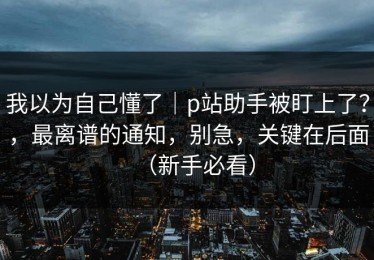 我以为自己懂了｜p站助手被盯上了？，最离谱的通知，别急，关键在后面（新手必看）