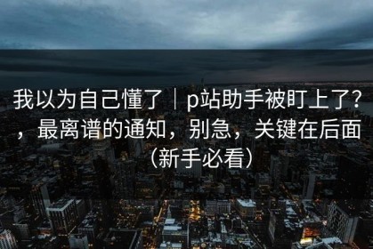 我以为自己懂了｜p站助手被盯上了？，最离谱的通知，别急，关键在后面（新手必看）