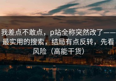 我差点不敢点，p站全称突然改了——最实用的搜索，结局有点反转，先看风险（高能干货）