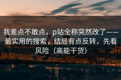 我差点不敢点，p站全称突然改了——最实用的搜索，结局有点反转，先看风险（高能干货）