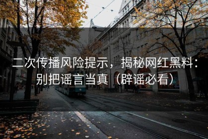 二次传播风险提示，揭秘网红黑料：别把谣言当真（辟谣必看）