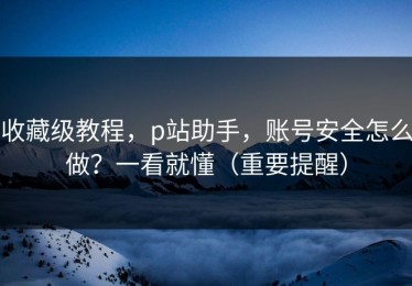 收藏级教程，p站助手，账号安全怎么做？一看就懂（重要提醒）
