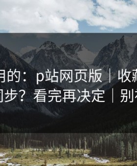 真正好用的：p站网页版｜收藏与关注怎么同步？看完再决定｜别被钓鱼