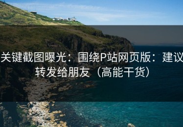 关键截图曝光：围绕P站网页版：建议转发给朋友（高能干货）