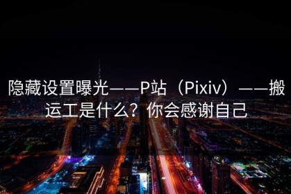 隐藏设置曝光——P站（Pixiv）——搬运工是什么？你会感谢自己