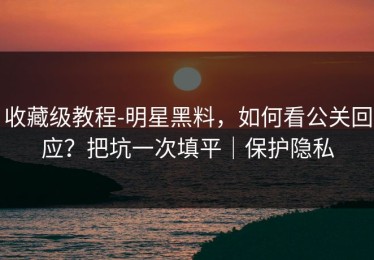 收藏级教程-明星黑料，如何看公关回应？把坑一次填平｜保护隐私
