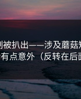 热榜机制被扒出——涉及蘑菇短剧，结论有点意外（反转在后面）