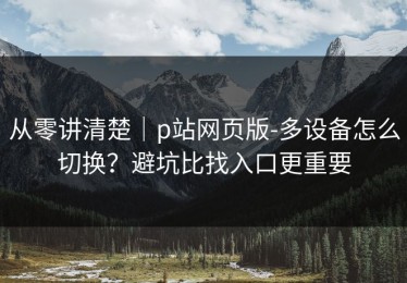 从零讲清楚｜p站网页版-多设备怎么切换？避坑比找入口更重要