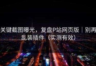 关键截图曝光，复盘P站网页版｜别再乱装插件（实测有效）