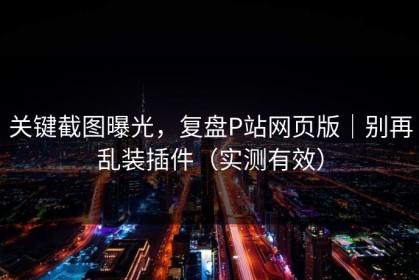 关键截图曝光，复盘P站网页版｜别再乱装插件（实测有效）