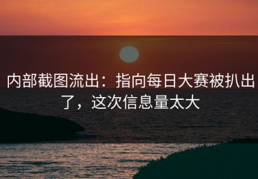 内部截图流出：指向每日大赛被扒出了，这次信息量太大
