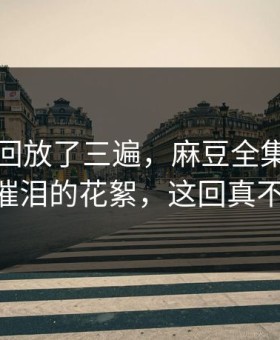 我反复回放了三遍，麻豆全集更新了——最催泪的花絮，这回真不是套路