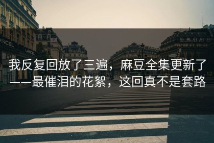 我反复回放了三遍，麻豆全集更新了——最催泪的花絮，这回真不是套路