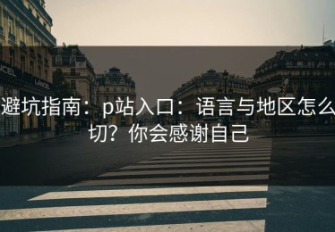 避坑指南：p站入口：语言与地区怎么切？你会感谢自己
