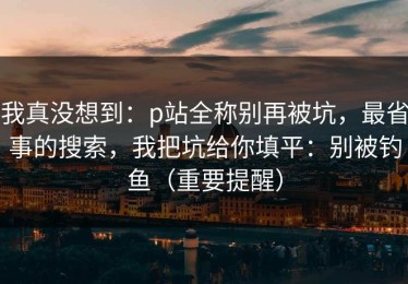 我真没想到：p站全称别再被坑，最省事的搜索，我把坑给你填平：别被钓鱼（重要提醒）