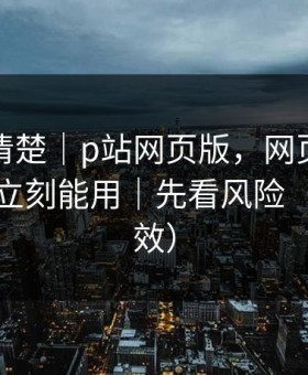 从零讲清楚｜p站网页版，网页版怎么登录？立刻能用｜先看风险（实测有效）