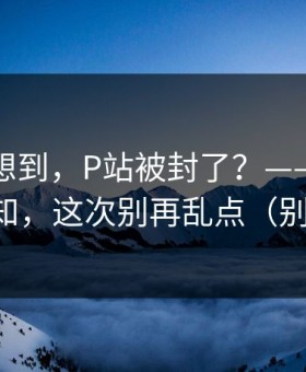 我真没想到，P站被封了？——最关键的通知，这次别再乱点（别眨眼）