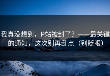 我真没想到，P站被封了？——最关键的通知，这次别再乱点（别眨眼）