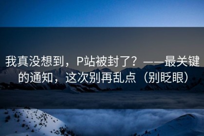 我真没想到，P站被封了？——最关键的通知，这次别再乱点（别眨眼）