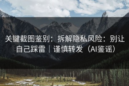 关键截图鉴别：拆解隐私风险：别让自己踩雷｜谨慎转发（AI鉴谣）