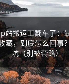 说真的-p站搬运工翻车了：最容易被忽略的收藏，到底怎么回事？：别踩坑（别被套路）