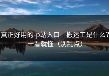 真正好用的-p站入口｜搬运工是什么？一看就懂（别乱点）