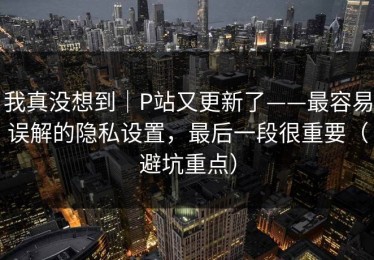 我真没想到｜P站又更新了——最容易误解的隐私设置，最后一段很重要（避坑重点）
