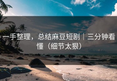 一手整理，总结麻豆短剧｜三分钟看懂（细节太狠）
