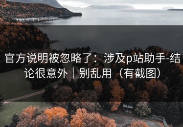 官方说明被忽略了：涉及p站助手-结论很意外｜别乱用（有截图）